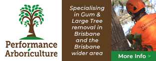 Performance Arboriculture